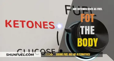 Ketones as Fuel: How Your Body Utilizes This Alternative Energy Source