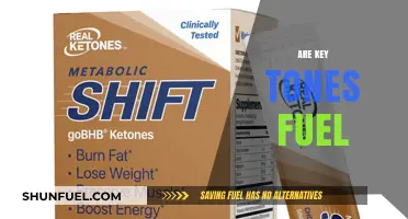 Are Keytones the Ultimate Fuel for Energy and Weight Loss?