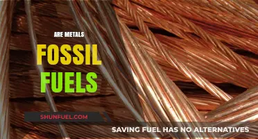 Fossil Fuels and Metals: What's the Connection?