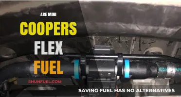 Can Mini Coopers Run on Flex Fuel? Exploring Compatibility and Benefits