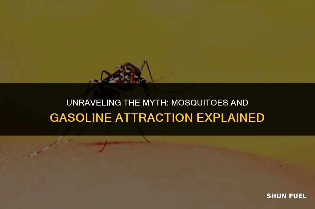 are mosquitoes attracted to gasoline