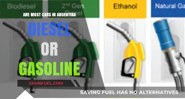 Exploring Argentina's Automotive Landscape: Diesel vs. Gasoline Dominance