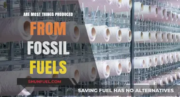 Fossil Fuels: The Source of Everything?