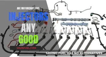 Motorcraft Fuel Injectors: Are They Worth the Hype?