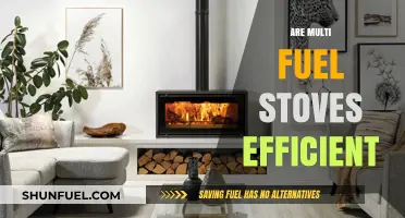 Are Multi-Fuel Stoves Efficient? A Comprehensive Performance Analysis