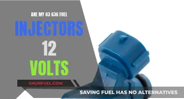 Fuel Injectors on '03 636: Are They 12 Volts?