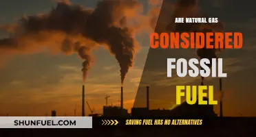 Natural Gas: Fossil Fuel or Not?