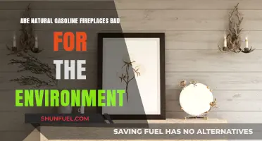 Eco-Impact of Natural Gas Fireplaces: A Comprehensive Analysis