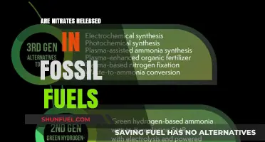 Fossil Fuels: Nitrate Emissions and Their Impact