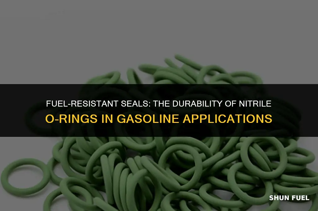 are nitrile o rings resistant to gasoline