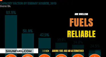 Are Nuclear Fuels a Reliable Energy Source for the Future?