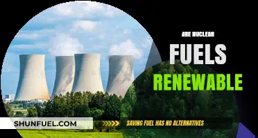Are Nuclear Fuels Renewable? Exploring Energy Sustainability and Future Potential