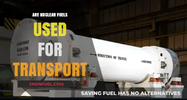 Nuclear Fuels in Transport: Current Use and Future Potential Explored