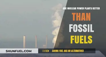 Nuclear Power Plants: Better Alternative to Fossil Fuels?