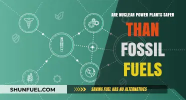 Nuclear Power Plants: Safer Energy Alternative?