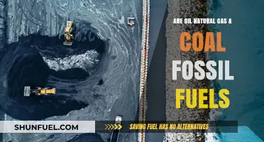 Fossil Fuels: Oil, Gas, and Coal Explained