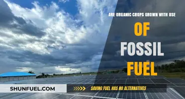 Organic Crops: Fossil Fuel Friend or Foe?