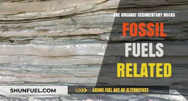 Organic Sedimentary Rocks: Fossil Fuels' Origins