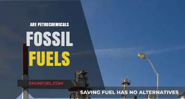 Petrochemicals and Fossil Fuels: What's the Connection?