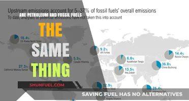 Petroleum and Fossil Fuels: What's the Difference?