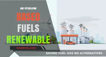 Are Petroleum-Based Fuels Renewable? Exploring the Sustainability Debate