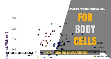 Plasma Proteins: Fuel Source or Cellular Functionality Enhancer?