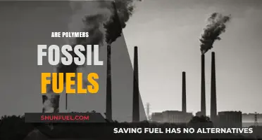 Fossil Fuels and Polymers: What's the Link?