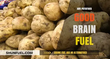 Potatoes as Brain Fuel: Unlocking Cognitive Benefits and Nutritional Power
