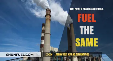Power Plants: Fossil Fuel's Future?