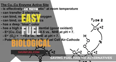 Are Proteins Easy Fuel for Biological Processes? Exploring the Science