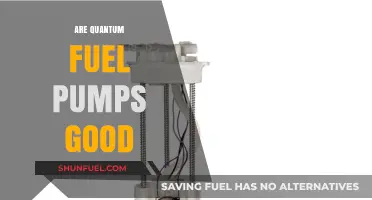Are Quantum Fuel Pumps Worth It? Pros, Cons, and Performance Review