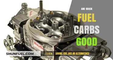 Are Quick Fuel Carbs Good? Unveiling the Truth for Optimal Nutrition