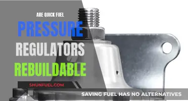 Fuel Pressure Regulators: Rebuild or Replace?