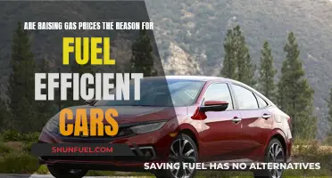 Gas Prices Rising: A Catalyst for Fuel-Efficient Cars?