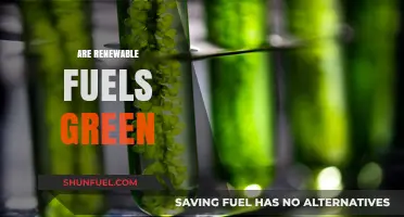 Are Renewable Fuels Truly Green? Uncovering the Environmental Impact