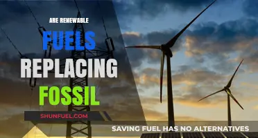 Renewable Fuels: The Future of Energy, Replacing Fossil Fuels