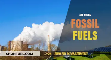 What Are Rocks: Fossil Fuels or Not?