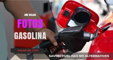 Exploring the Impact of Rojas Fotos on Gasolina Prices