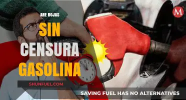 Unleashing the Truth: Rojas Sin Censura Gasolina Explained