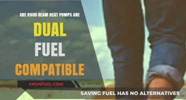 Ruud Ream Heat Pumps: Dual Fuel Compatibility Explained