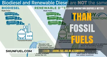 Second-Gen Biofuels: Better Alternative to Fossil Fuels?