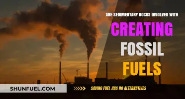 Sedimentary Rocks: The Key to Fossil Fuel Formation