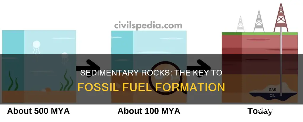 are sedimentary rocks involved with creating fossil fuels