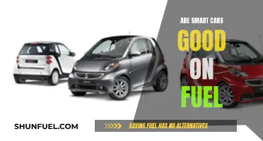 Smart Cars: Fuel Efficiency and the Future of Driving