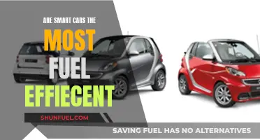 Smart Cars: Fuel Efficiency Myth or Reality?