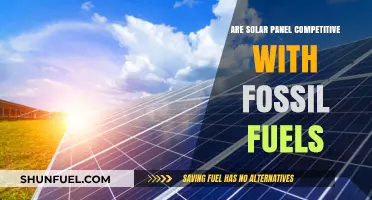 Solar Panels vs Fossil Fuels: Who Wins?