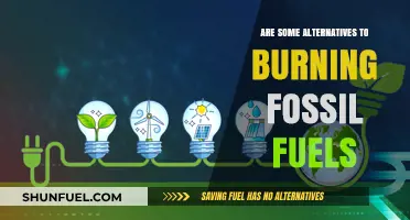 Green Energy Alternatives: A Fossil Fuel-Free Future