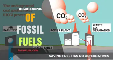Fossil Fuel Examples: What Are They?