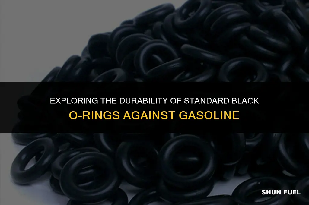 are standard black orings gasoline proof
