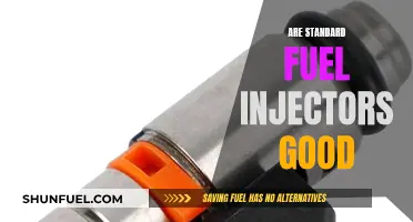 Fuel Injectors: Are Standard Options Worth It?